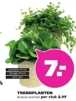Ranzijn TRENDPLANTEN aanbieding