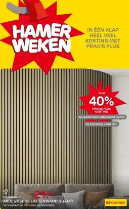 Praxis Quanti Akoestische Lattenwand - Licht aanbieding