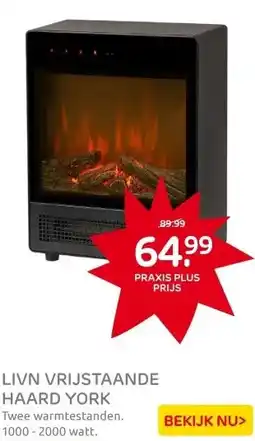 Praxis Livn vrijstaande haard York aanbieding
