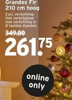 GAMMA Grandes Fir 210 cm hoog aanbieding
