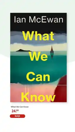 Bruna What We Can Know aanbieding