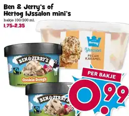 Boon`s Markt Ben & Jerry's of Hertog IJssalon mini's aanbieding