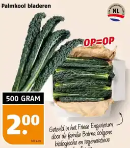 Poiesz Palmkool bladeren aanbieding