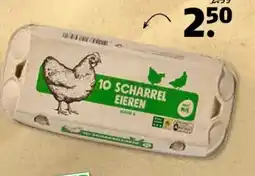 Poiesz Scharreleieren wit aanbieding