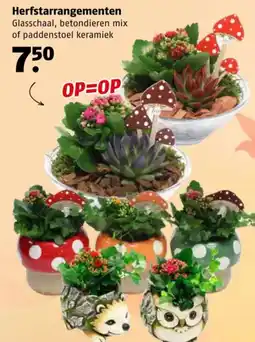 Poiesz Herfstarrangementen aanbieding