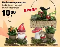 Poiesz Herfstarrangementen aanbieding