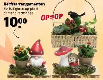 Poiesz Herfstarrangementen aanbieding