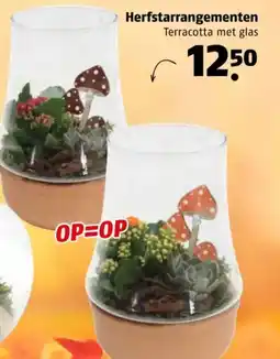Poiesz Herfstarrangementen aanbieding