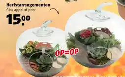Poiesz Herfstarrangementen aanbieding