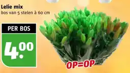 Poiesz Lelie mix aanbieding