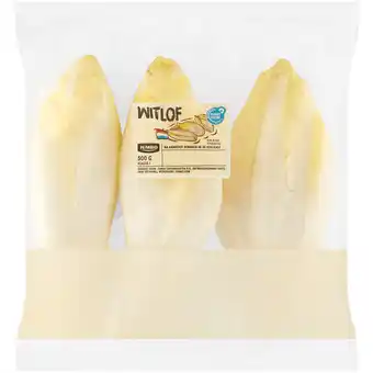 Jumbo Jumbo Witlof - 2-3 Personen - 500g aanbieding