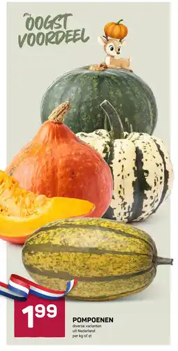 Ekoplaza Pompoenen aanbieding