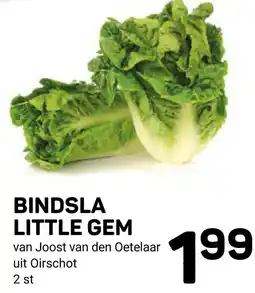 Ekoplaza Bindsla little gem aanbieding