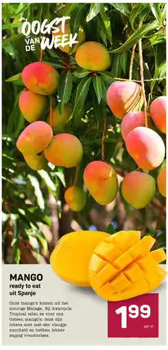 Ekoplaza Mango aanbieding