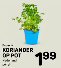 Ekoplaza Especia Koriander op pot aanbieding
