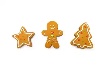Welkoop Beeztees Kerstfiguren - Hondenspeelgoed - Bruin - 1stuk aanbieding