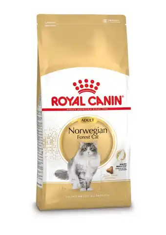 Welkoop Royal Canin Noorse Boskat Adult - Kattenvoer - 10kg aanbieding