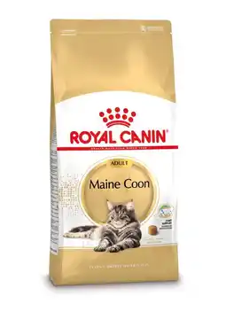 Welkoop Royal Canin Maine Coon Adult - Kattenvoer - 4kg aanbieding