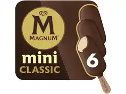 Hoogvliet Mini IJs Classic aanbieding