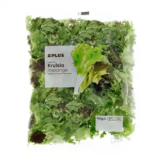 PLUS PLUS Luxe sla krulslamelange aanbieding