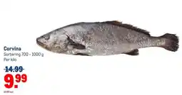 Makro Corvina aanbieding