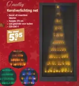 Van Cranenbroek O'malley Kerstverlichting net aanbieding