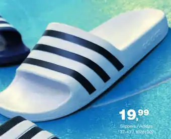 Bristol Slippers/adidas aanbieding