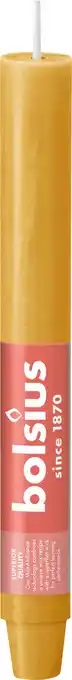 Intratuin Bolsius dinerkaars Rustiek beige 15 uur D 23 H 3 cm aanbieding