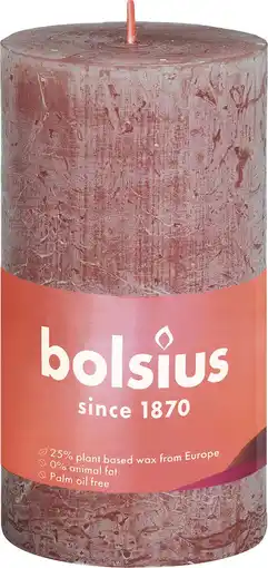 Intratuin Bolsius stompkaars Rustiek Shine bruin 30 uur D 5 H 10 cm aanbieding