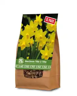 Welkoop Florex Narcis - Bloembollen - XL zak - Gemengd - 75stuks aanbieding