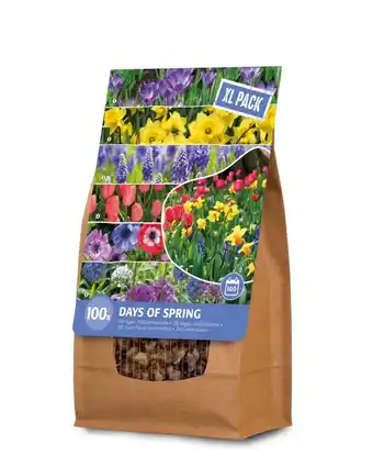 Welkoop Florex Bloembollenmix 100 dagen lengte - Bloembollen - XL zak - Gemengd - 100stuks aanbieding