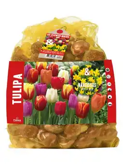 Welkoop Florex Tulp - Narcis - Bloembollen - Gemengd - 50stuks aanbieding