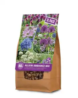 Welkoop Florex Ambiance Allium - Bloembollen - XL zak - Gemengd - 80stuks aanbieding