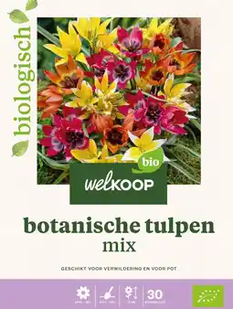 Welkoop Welkoop Tulp Biologisch Botanische mix - Bloembollen - Gemengd - 30stuks aanbieding