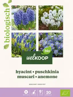 Welkoop Welkoop Hyacint Biologisch Blauwe druifjes Anemone - Bloembollen - Gemengd - 30stuks aanbieding