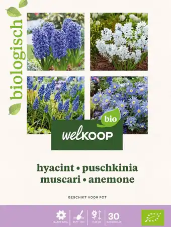 Welkoop Welkoop Hyacint Biologisch Blauwe druifjes Anemone - Bloembollen - Gemengd - 30stuks aanbieding