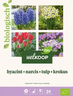 Welkoop Welkoop Hyacint Narcis Tulp Krokus Biologisch - Bloembollen - Gemengd - 24stuks aanbieding