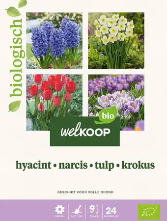 Welkoop Welkoop Hyacint Narcis Tulp Krokus Biologisch - Bloembollen - Gemengd - 24stuks aanbieding