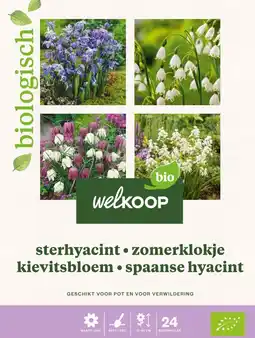 Welkoop Welkoop Hyacint Allium Krokus Biologisch - Bloembollen - Gemengd - 24stuks aanbieding