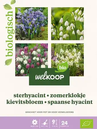 Welkoop Welkoop Hyacint Allium Krokus Biologisch - Bloembollen - Gemengd - 24stuks aanbieding