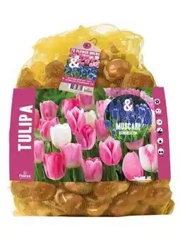 Welkoop Florex Tulp - Blauwe druifjes- Bloembollen - Gemengd - 60stuks aanbieding