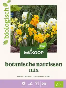 Welkoop Welkoop Narcis Biologisch Botanische mix - Bloembollen - Gemengd - 20stuks aanbieding
