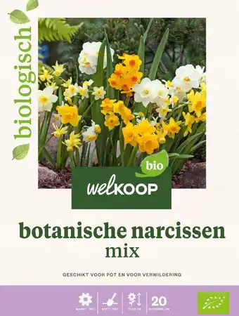 Welkoop Welkoop Narcis Biologisch Botanische mix - Bloembollen - Gemengd - 20stuks aanbieding