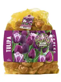 Welkoop Florex Tulp - Allium - Bloembollen - Gemengd - 70stuks aanbieding