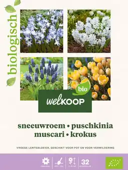 Welkoop Welkoop Hyacint Sneeuwroem blauwe druifjes krokus Biologisch - Bloembollen - Gemengd - 32stuks aanbieding