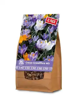 Welkoop Florex Krokus mix- Bloembollen - XL zak - Gemengd - 75stuks aanbieding
