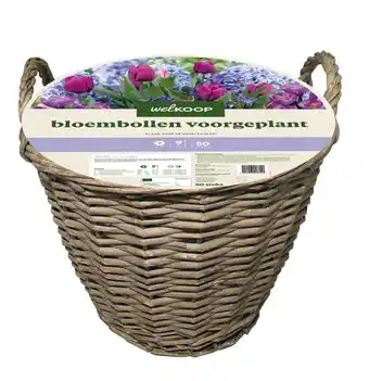 Welkoop Welkoop Bloembollen mix - in Mand - Multi - 50stuks aanbieding