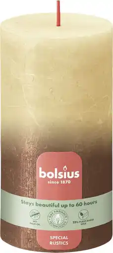 Intratuin Bolsius stompkaars beige / koper 60 uur D 13 H 6,8 cm aanbieding