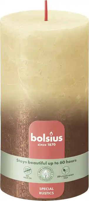 Intratuin Bolsius stompkaars beige / koper 60 uur D 13 H 6,8 cm aanbieding