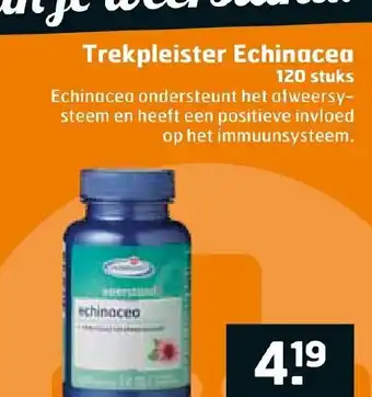 Trekpleister Echinacea 120 stuks aanbieding